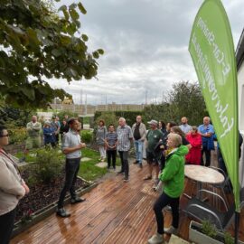 im-plan-tat stellt sich vor – Tulln zu Gast im September