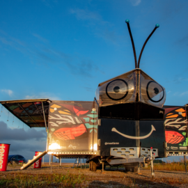 Solar-Schmetterling landet in Niederösterreich
