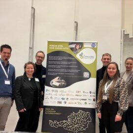 Kommt ein Gesetz für Carsharing in Österreich?