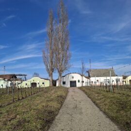 Teilbebauungsplan Kellergasse Galgenberg – Schutzzonen für ein regionales Kulturerbe Teilbebauungsplan Kellergasse Galgenberg – Schutzzonen für ein regionales Kulturerbe